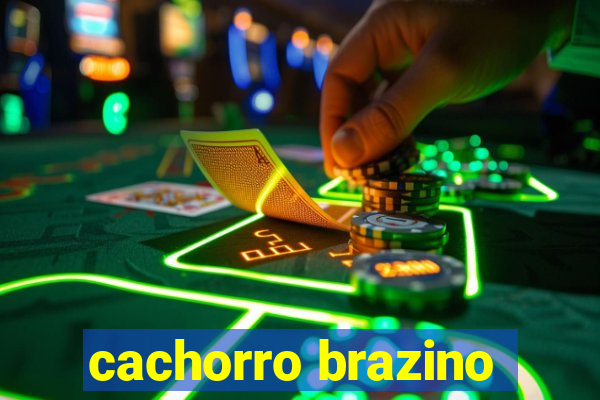 cachorro brazino